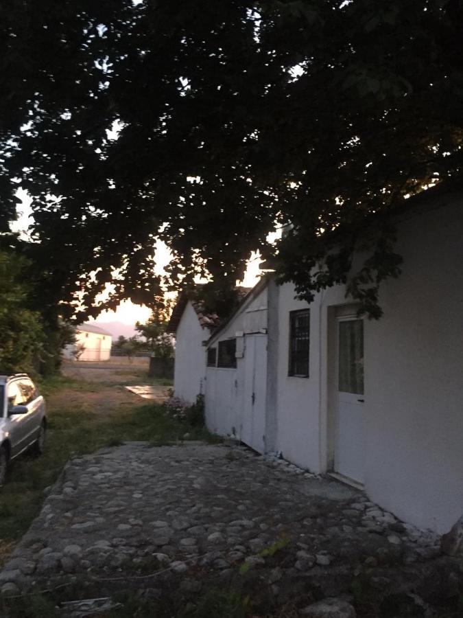 Anza Camping Shkodër Eksteriør bilde