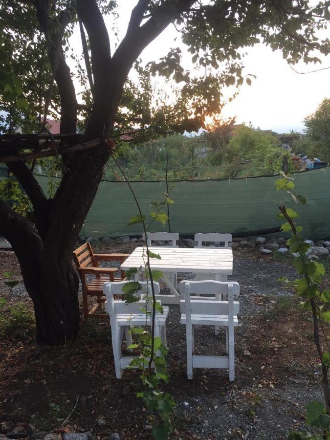 Anza Camping Shkodër Eksteriør bilde
